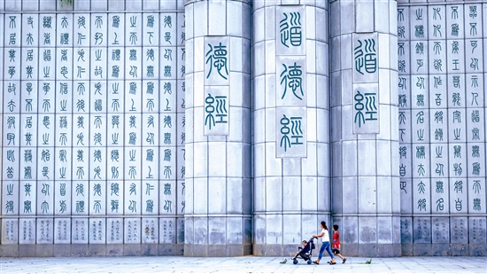 �����Ļ�������