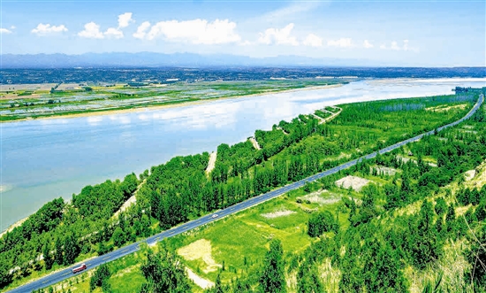 ��ֲ��ɫ�𡰾G����