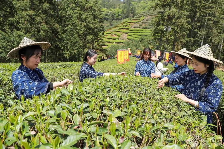 2025��4��13�գ���������ɽ���Ǵ��(zh��n)��ꖴ���r�����B(t��i)��@չʾ�ɲ������A��l(f��)������Ȫ �z��