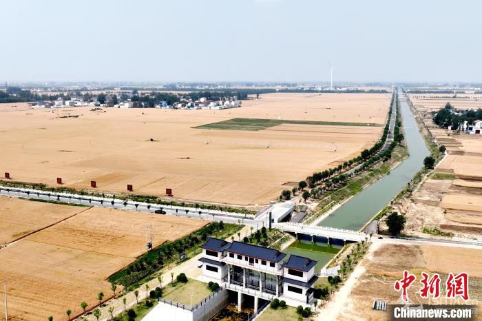 河南8500萬畝小麥進入適宜收獲期