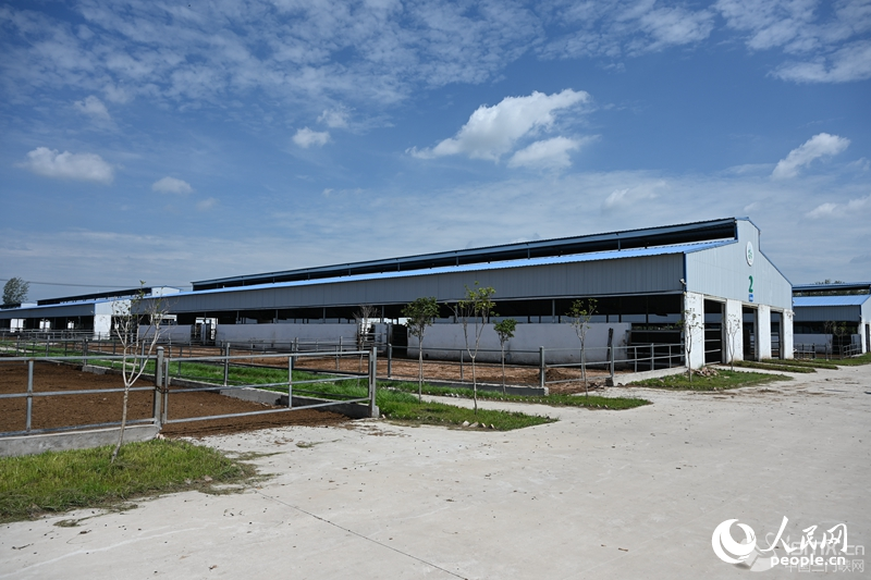 �f�����B(t��i)����ţ��������W(w��ng)ӛ�� �����d�z