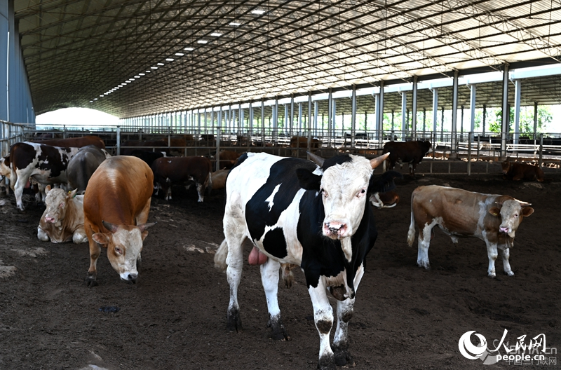 ��ڳ��f�^��ɏ?f��)����I(y��)������W(w��ng)ӛ�� �����d�z