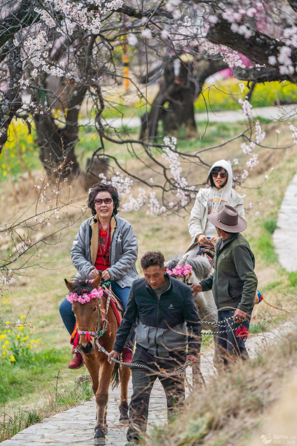 �ο�����֥�и������w��R���^�����DƬ��Դ ���A��