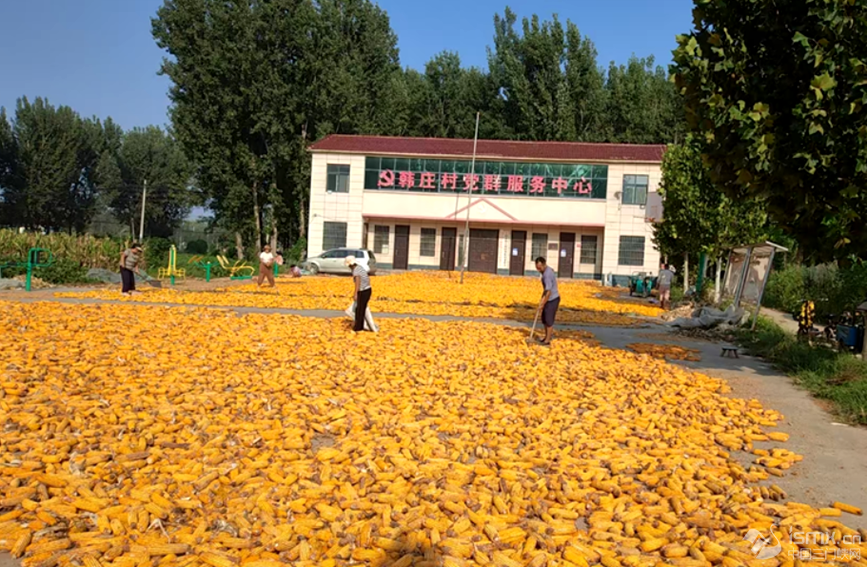 ���l(xi��ng)�з���h�����l(xi��ng)�n�f��Ⱥ�����Ļ��V��(ch��ng)��������Z���_�Ɣz