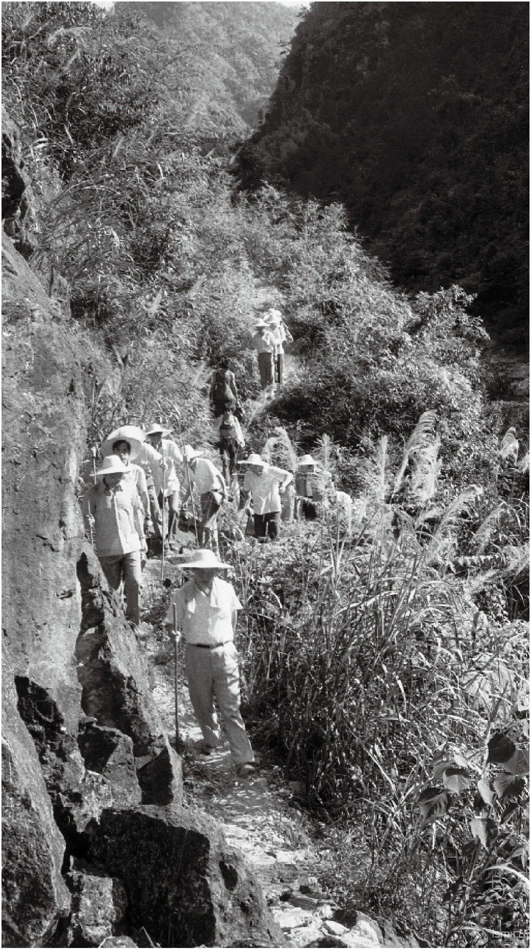 1989��7�£���(x��)��ƽһ�е��ی��h���h�l(xi��ng)�{(di��o)����